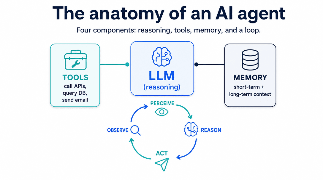 The anatomy of an AI agent — LLM reasoning layer, tools, memory, and the perceive-reason-act-observe loop